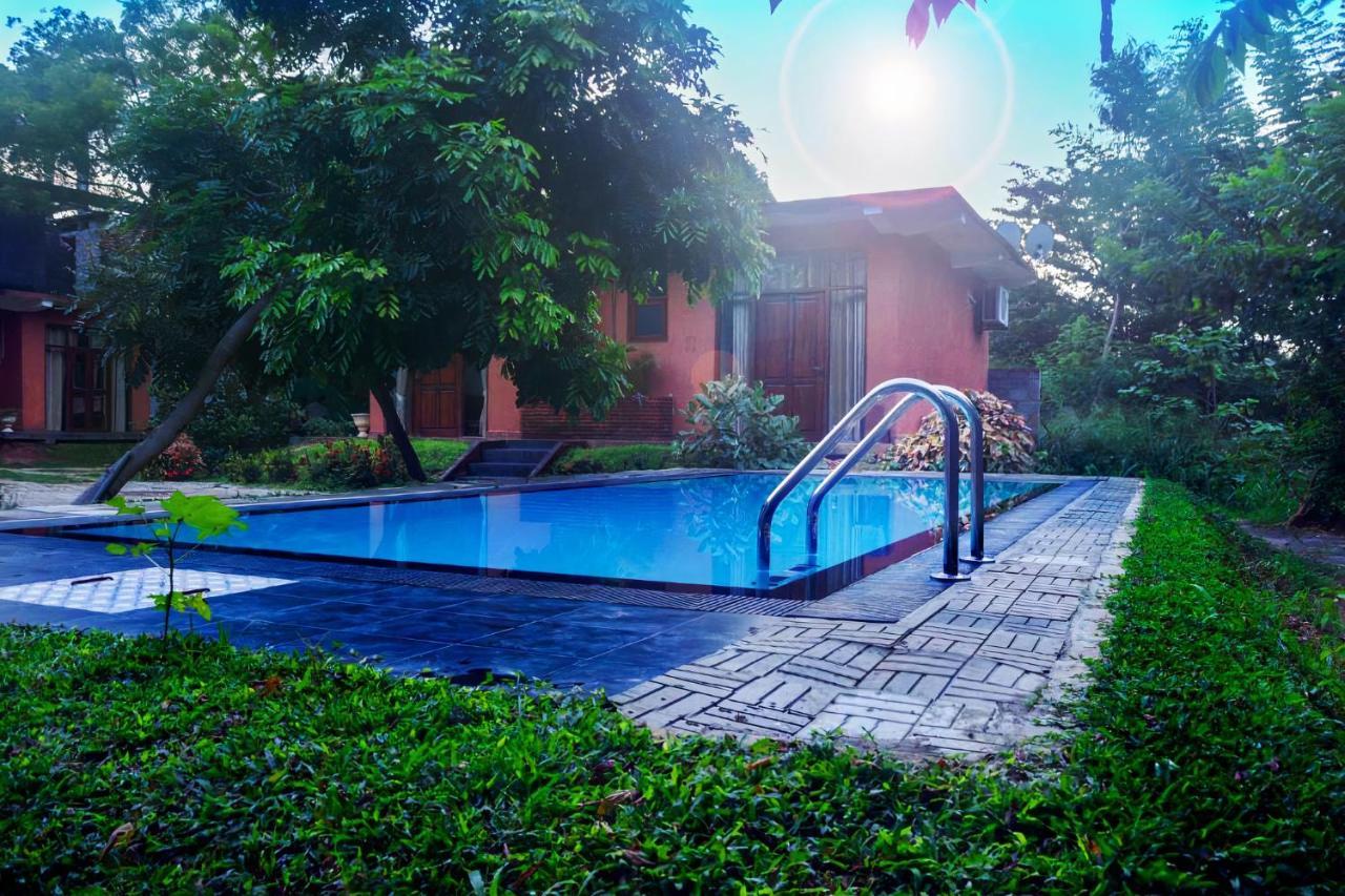 Thammenna Eco Cabins دامبولا المظهر الخارجي الصورة